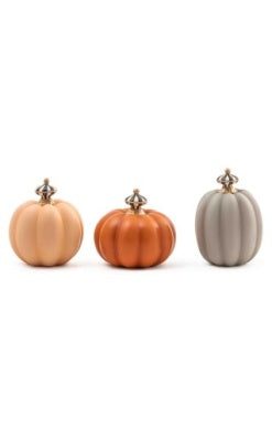 Fall On The Farm Mini Pumpkins Set of 3