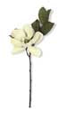 Cream Green Magnolia Spray 23 inch