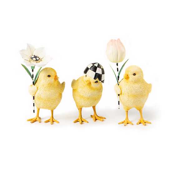 Rose Garden Chicks - Set of 3