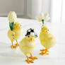 Rose Garden Chicks - Set of 3